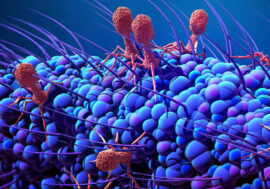 Alternative to antibiotics found in Russian Arctic