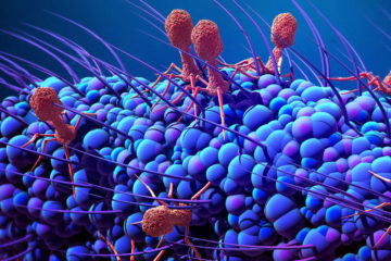 Alternative to antibiotics found in Russian Arctic