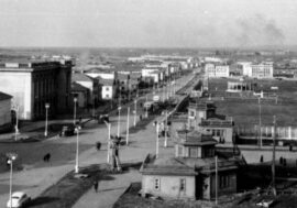 What Arctic cities built of
