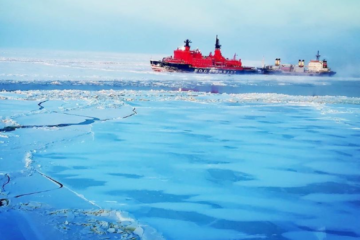 Cargo transportation along Northern Sea Route grows despite hummocks and icebergs