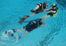 Where do Norilsk divers dive?