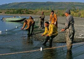 Northerners allowed to fish with nets