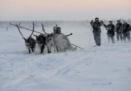 Northern Fleet infantrymen to be taught reindeer riding