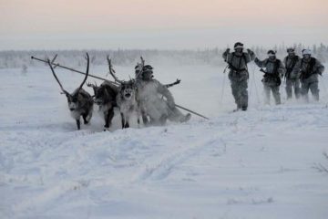 Northern Fleet infantrymen to be taught reindeer riding
