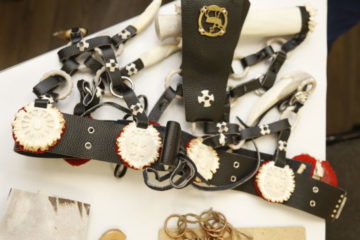 Samoyed belts – best amulets
