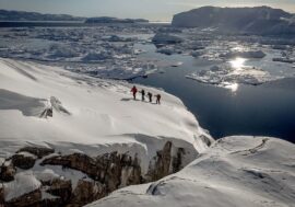 Prehistoric moss remnants found under ice in Arctic