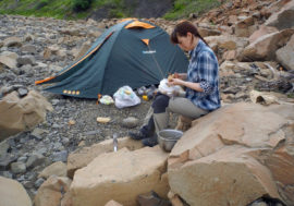 Foreign Ministry to help Taimyr promote tourism