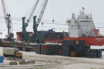 Arctic development to become national project