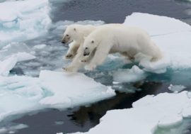 Arctic ice melting faster than expected