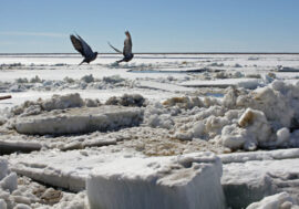 Ice drift on Yenisey near Dudinka expected soon