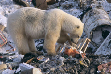 Waste sorting to help release Arctic of plastic