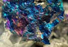 Scientists found the way of extracting rare metals