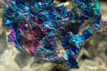 Scientists found the way of extracting rare metals