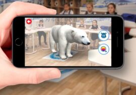 How to see seal and polar bear at home?