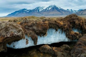 Scientists revived prehistoric worms from permafrost