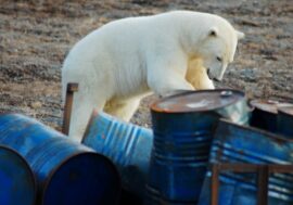 Scientists to test Arctic for radioactivity