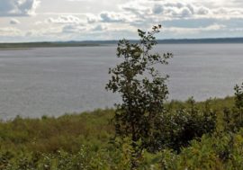 In Dudinka, volunteers cleaned up garbage on Yenisey banks
