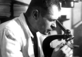 From pine needles to bacteriophages