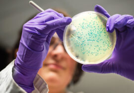 Scientists found oil-eating bacteria in Arctic