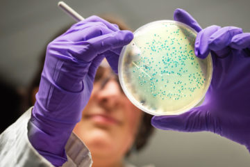 Scientists found oil-eating bacteria in Arctic