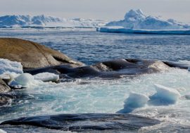 Scientists accidentally discovered Earth’s northernmost island