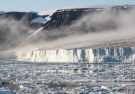 Arctic water can help search for life on Mars