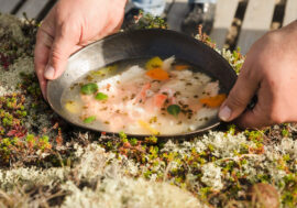 Polar cuisine presented at gastro festival in St. Petersburg