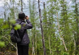 Forbes names Nornickel’s tourism projects world’s most ambitious ones