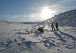 Global warming activates viruses in Arctic