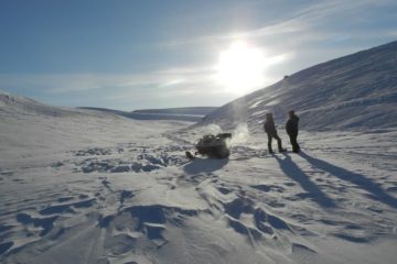 Global warming activates viruses in Arctic