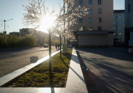 Indian summer came to Norilsk