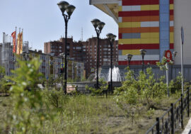 Eco-festival ZOZhivem to take place in Norilsk
