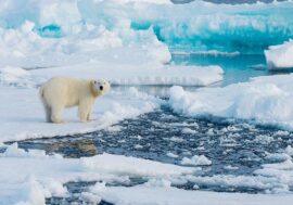 Arctic and Antarctic sea ice growing rapidly