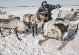 National Geographic magazine wrote about life in Taimyr
