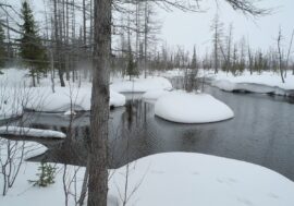 By 2050, Arctic warming damage can reach seven trillion rubles