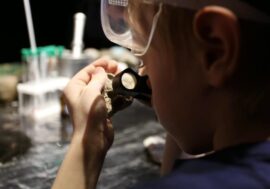 Norilsk residents invited to interactive exploration expedition