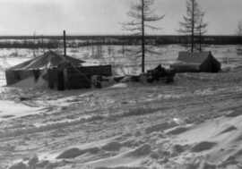 Norilsk could disappear in 1950s