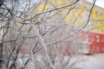 Norilsk participates in 19th World’s Winter Cities Mayors Conference