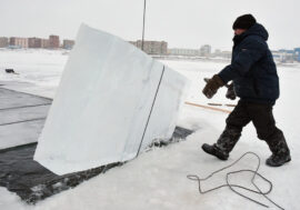 New Year site with ice tiger to be opened in Norilsk