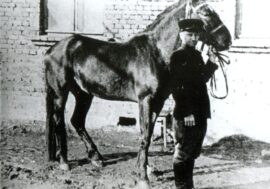 In 1940s horse-drawn street patrols used in Norilsk