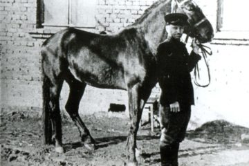 In 1940s horse-drawn street patrols used in Norilsk