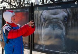 Arctic Attraction photo exhibition opened in Moscow
