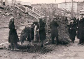 Construction and greening of Norilsk began simultaneously
