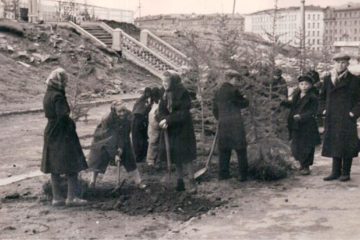 Construction and greening of Norilsk began simultaneously