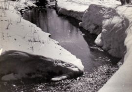 Norilsk could produce its own mineral water even 70 years ago