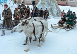 Taimyr Oikoumene guests revealed Taimyr cultural code