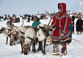 Reindeer Herder Day celebration in Taimyr to be cut