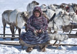 Taimyr venison turned out to be richest in micro and macro elements