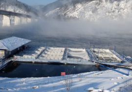 Taimyr сhar takes root well in mainland aquaculture