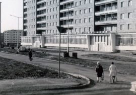 Norilsk street and rare mineral named after Vladimir Kotulsky